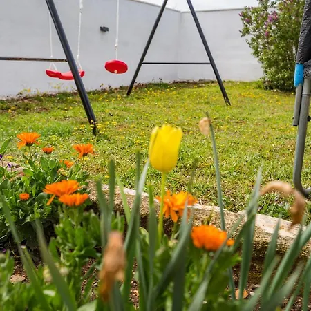 Gabi فيلة Pridraga